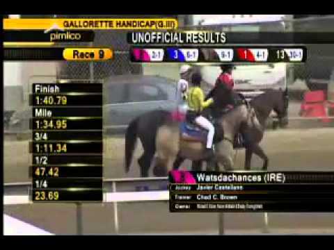 Pimlico 05/16/15 race 9 -  64th running of the Stella Artois Gallorette Handicap - GIII
