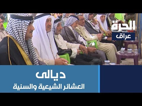 شاهد بالفيديو.. وفود عشائرية من البو صيدا تسعى لتهدئة مخاوف أهالي قرى البو خنازير