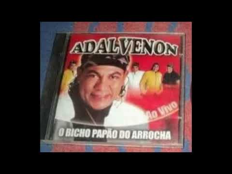 Adalvenon e seus teclados As Melhores