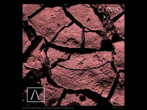 Petit Astronaute - The Inner Pattern (Linear System Remix)