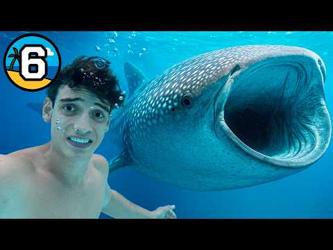 🚨Tuve los Encuentros más Peligrosos y Épicos del Mundo🚨  Día 6 de 7 viviendo en la playa