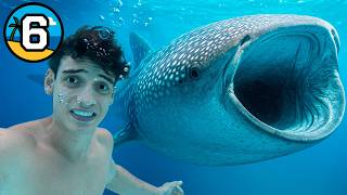 🚨Tuve los Encuentros más Peligrosos y Épicos del Mundo🚨  Día 6 de 7 viviendo en la playa