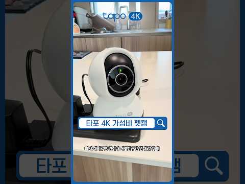 거북아 그 속도론 사고친 고양이 못 따라가 