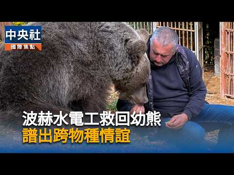 破百公斤巨熊撒嬌討抱！波士尼亞男子與熊的暖心情誼｜中央社影音新聞