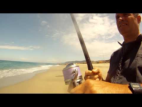 Antonio69 - Orata Maggio 2018