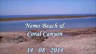 preview picture of video 'Nabq Nature Reserve (Coral Canyon) Between Shore& Hidden Island'