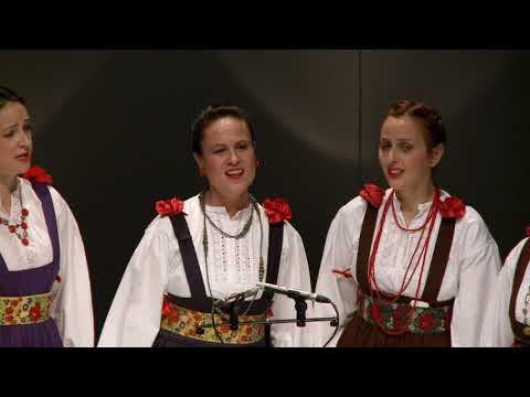 Hojsak & Novosel i klapa Cesarice - Solniško