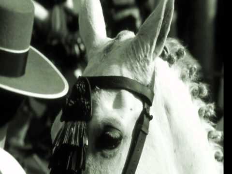 download lagu mp3 mp4 Vieja Andalucia El Barrio, download lagu Vieja Andalucia El Barrio gratis, unduh video klip Vieja Andalucia El Barrio