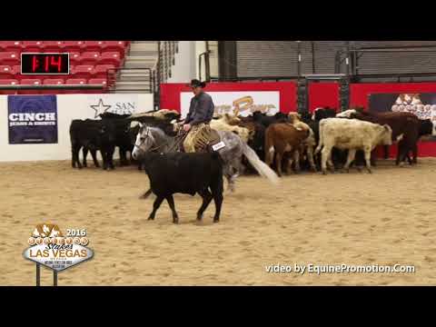 Dualin Stargun ridden by Justin E. Lawrence  - 2016 NRCHA Stallion Stakes (Herd Work - Open Finals)