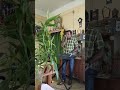 Lambada Kaoma Instrumental Cover