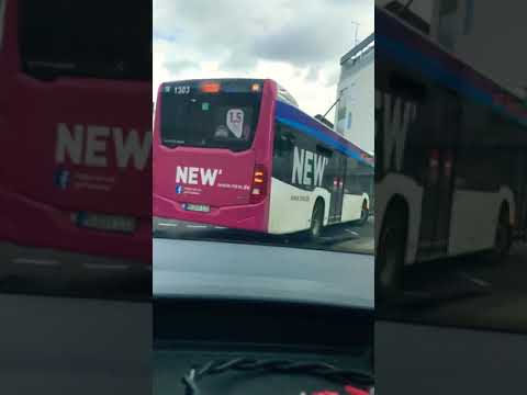 Cashmo - Alman während der Fahrt