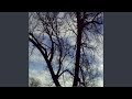 Tall Dark Stranger (Remastered Version)