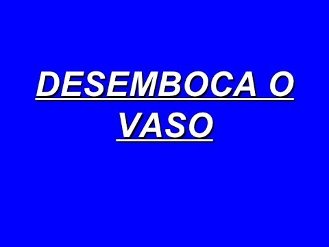 Desemboca o vaso — Kelly Brandão