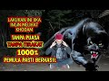 Cara Melihat Khodam Pendamping Diri Sendiri Tanpa Puasa Tanpa Ritual Tertentu