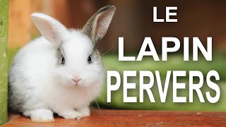 LE LAPIN PERVERS