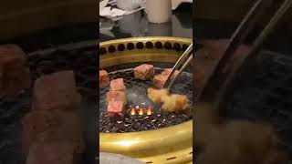 Download lagu Grill🔥 mp3 Download lagu Grill🔥 mp3