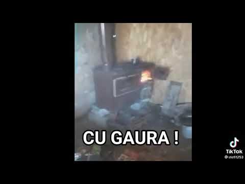 FAZE AMUZANTE CU COSTICĂ.  ASIA EXPRESS CONTINUA. tiktok BOGDAN MOCANU