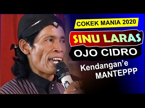 Ojo Cidro SINU LARAS terbaru 2020 cokek sragenan jos gayeng