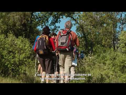 Restauration du sentier Imoucha | Épisode 4 - Venturiers