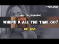 Dr Dog Where D All The Time Go Lirik Terjemahan