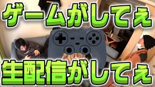 ゲーム実況も再開したいよねって話