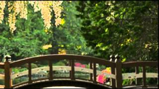 RICHARD CLAYDERMAN - ELVIRA MADIGAN