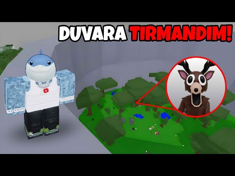 I broke the 99 Nights in the Forest game!! 😱🔥 I climbed the wall! 🧗‍♂️⚡ - Roblox 99 Nights in the...