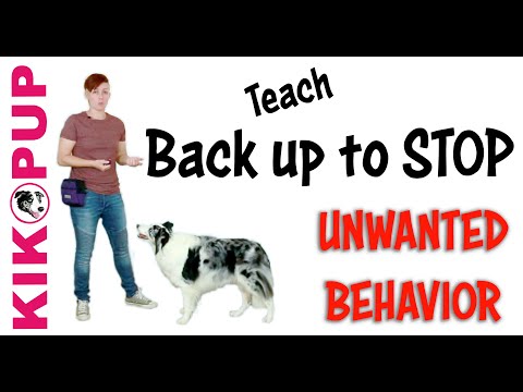 STOP UNWANTED behaviors with BACK UP