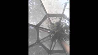 On The Road Again (Bob Dylan)