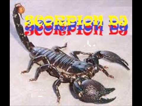 Música Nacional Ecuatoriana Remix 2020 Scorpion Dj