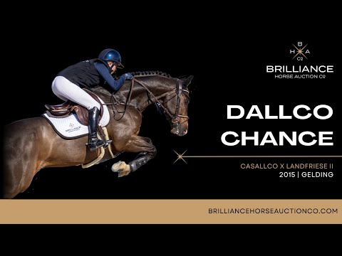 Dallco Chance - Chepstow 2023