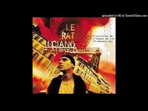 07 vision sincere - le rat luciano