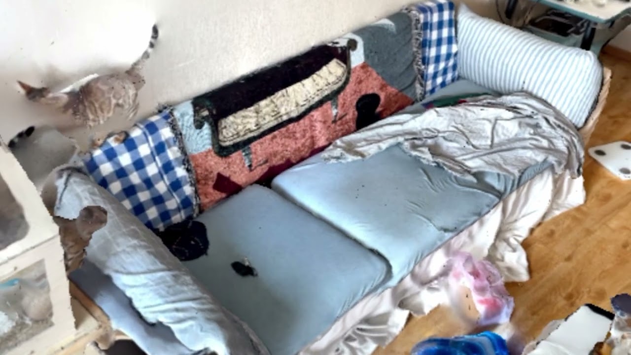 certain tenderness - TRAILER