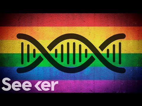 Is Homosexuality in Your Genes?