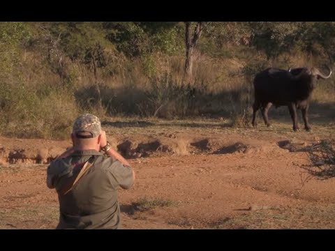 WN Safaris Mid Season Promo