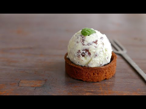 Homemade Fresh Mint Chocolate Chip Ice Cream 🌱🍫 Easy & Creamy Recipe