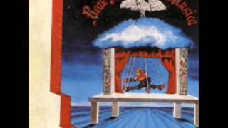 Reale accademia di musica - vertigine