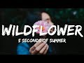 5 Seconds Of Summer Wildflower Lyrics 5 Seconds Of Summer Wildflower Lyrics