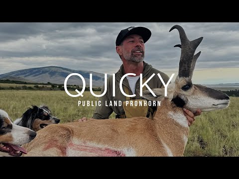 Quicky | New Mexico Rifle Antelope Hunt | Public Land Pronghorn | The Mountain Project