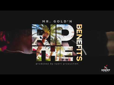 Mr. Gold'N - Rip The Benefits (Audio)