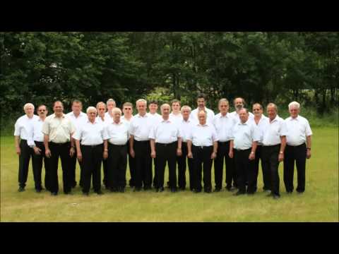 Bajazzo-MGV1881 Wustweiler