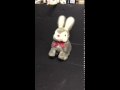 Hopping Bunny
