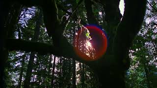 "Forests" a film by Louie Schwartzberg (excerpt 1)