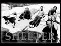 Shelter - In defense of reality (older version ...