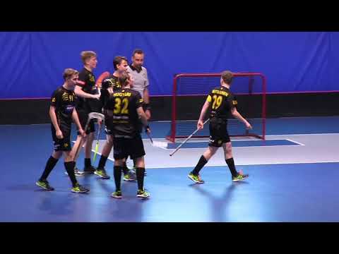 Maalikooste SPV- Indians 11. 11. 2017