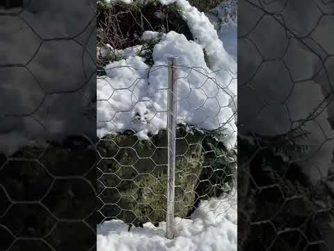 イノシシを追い払うにはどうすればいいですか？野生の豚を狩るための強力なイノシシよけのトップ 4 ソリューション  庭園