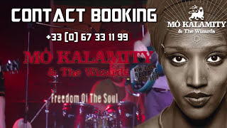 Mo Kalamity & The Wizards - Jah Live "extrait live à Pont Saint Pierre" - 16/11/2013 - 7CIS