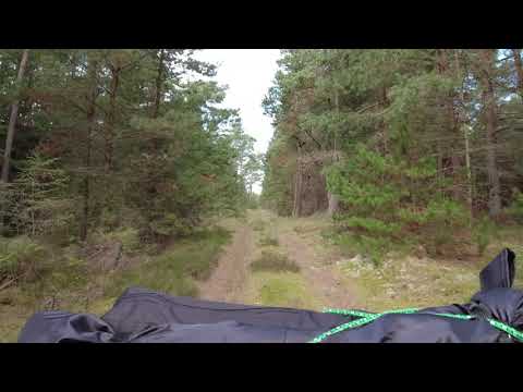 Læsø 2021 Waldfahrt