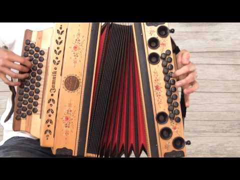 Ziachfuchs  "Die Gitarre und das Meer"