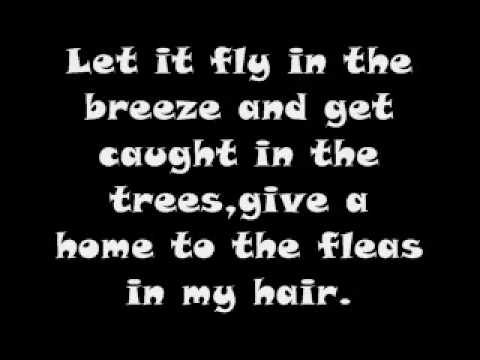 download lagu mp3 mp4 Hair Song Hair Lyrics, download lagu Hair Song Hair Lyrics gratis, unduh video klip Hair Song Hair Lyrics